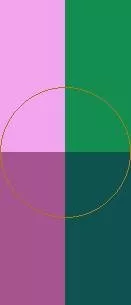 Erat huic melior tego.