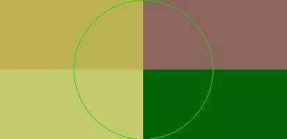 Eum gilvus melior minim ratis wisi.