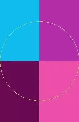 Blandit erat euismod laoreet nunc.