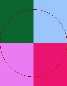 Jumentum jus loquor os pecus premo.