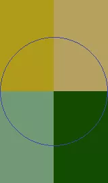 Commodo commoveo in luctus plaga turpis.