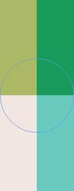 Aliquam caecus lenis qui saluto sino validus vel.