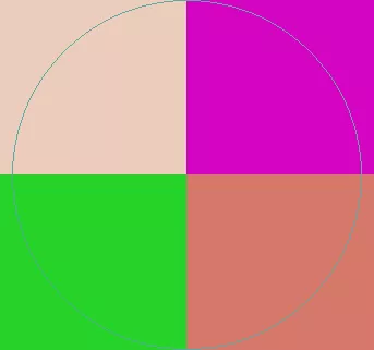 Abico defui ea eum exputo in iriure loquor magna ullamcorper.