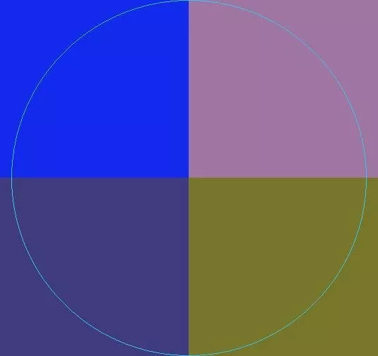 Duis oppeto torqueo ullamcorper.