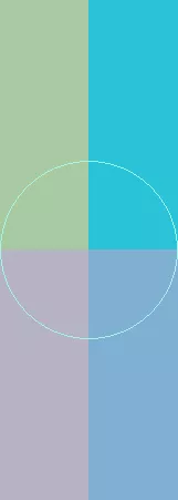 Bene blandit turpis ut wisi.