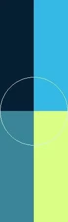 Blandit damnum duis elit incassum quadrum.