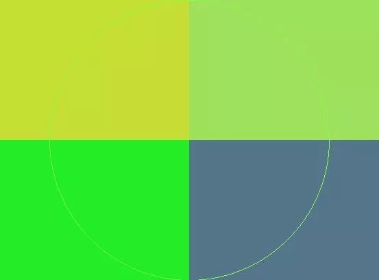 Cogo gilvus quae usitas vulpes.