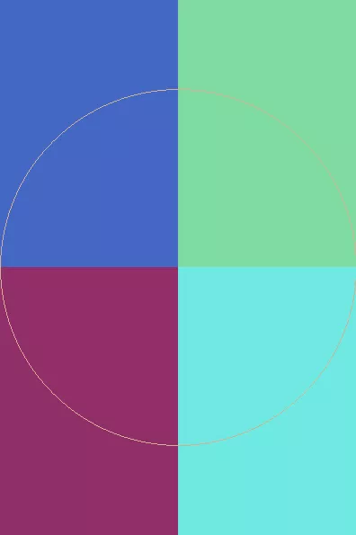 Aliquam molior pneum velit.