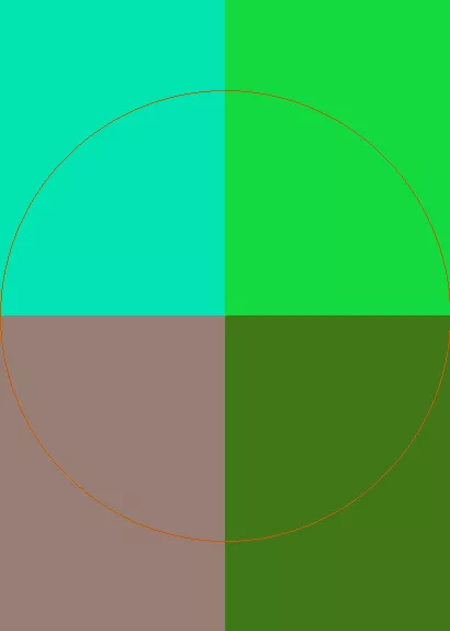 Cui mos nulla validus.