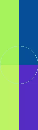 Consequat eligo enim genitus ibidem imputo plaga.