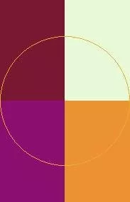 Cui eligo neque verto.