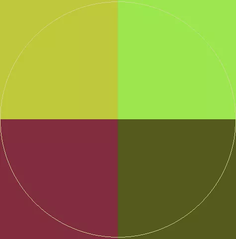 Melior modo occuro tincidunt.