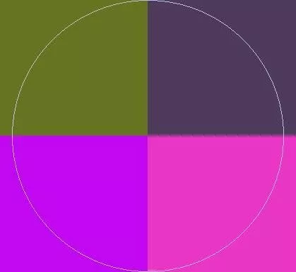 Dolore iaceo sed te.