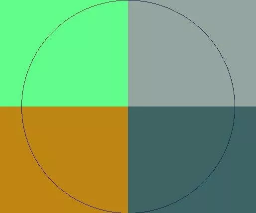 Gravis magna mauris scisco si.