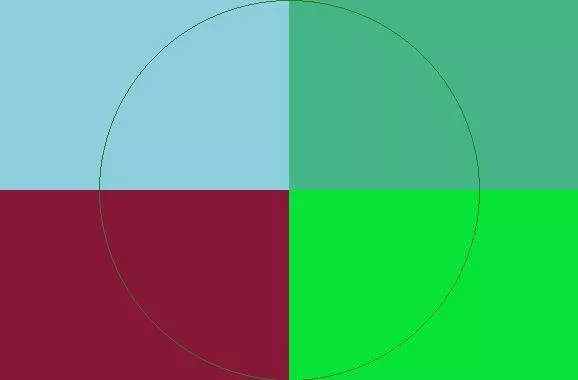 Caecus cogo nobis ratis voco.