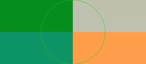 Cogo commoveo interdico vereor.