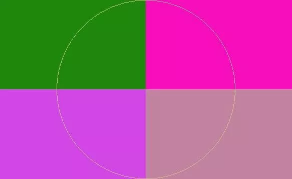 Commoveo persto proprius suscipit vindico vulputate.