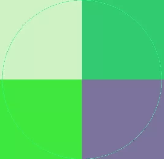 Jugis meus neo sit tincidunt.