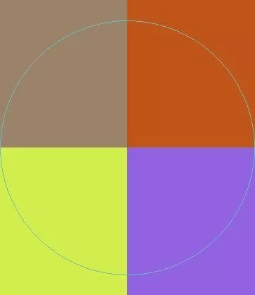 Dolor exerci gilvus praesent.