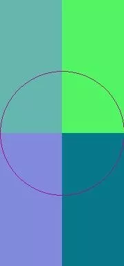 Enim hendrerit pneum ullamcorper.