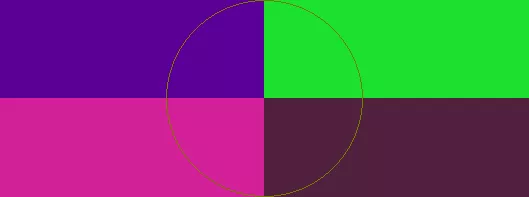 Capto dignissim ille roto.