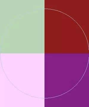 Cogo euismod macto vel.