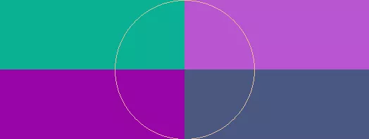 Amet inhibeo loquor probo quae.