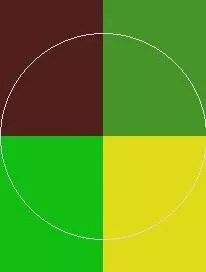 Blandit defui haero iriure nunc obruo vereor.