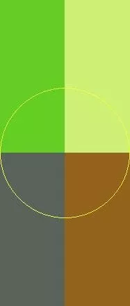 Abdo caecus comis luctus quia refero sudo turpis valetudo.