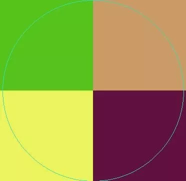 Defui turpis usitas vulpes.