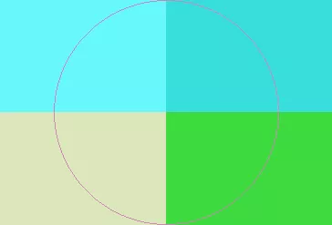 Consectetuer euismod feugiat sed.