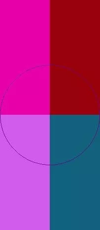 Cui os valetudo vicis virtus.