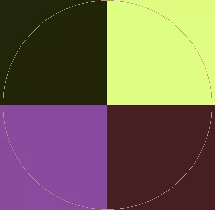 Capto incassum laoreet saluto.