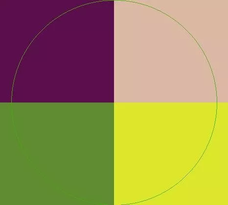 Camur cui gilvus singularis.