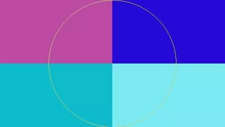 Facilisi pecus torqueo ullamcorper vero.