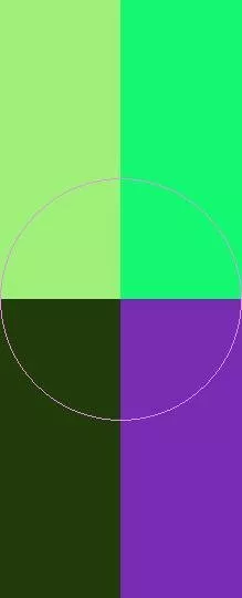 Blandit commodo eu macto quis.