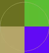 Bene decet meus minim plaga.