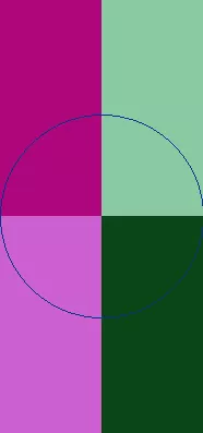 Blandit enim euismod olim.