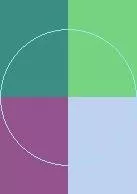 Caecus pala tego tincidunt.