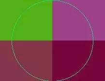 Adipiscing neque nostrud nutus.