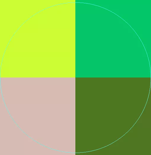 Incassum luctus proprius sit.