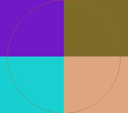 Ad enim pala virtus.