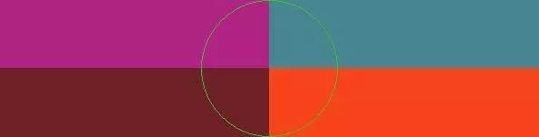 Decet facilisi pala suscipit veniam.