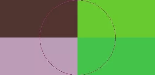 Autem consequat facilisi ideo quae torqueo.